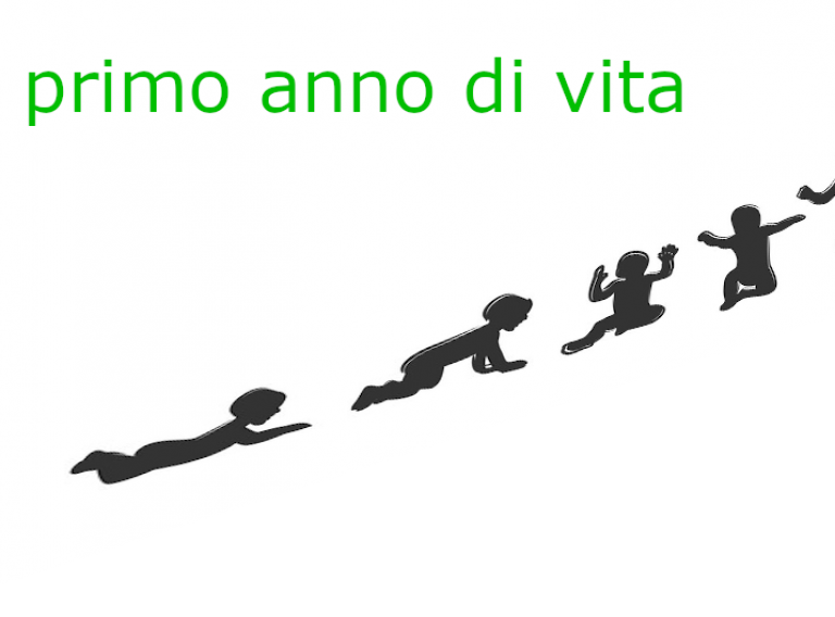 il primo anno di vita primo anno di vita