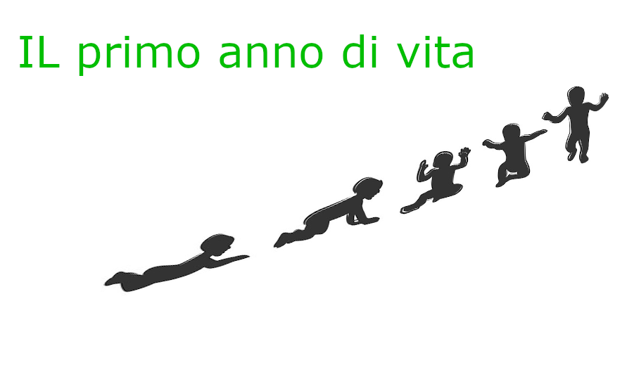 primo anno di vita