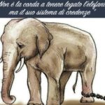 Apprendimento e Impotenza appresa